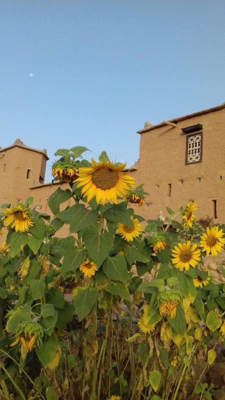 ホテル Kasbah Izoran ミデル エクステリア 写真