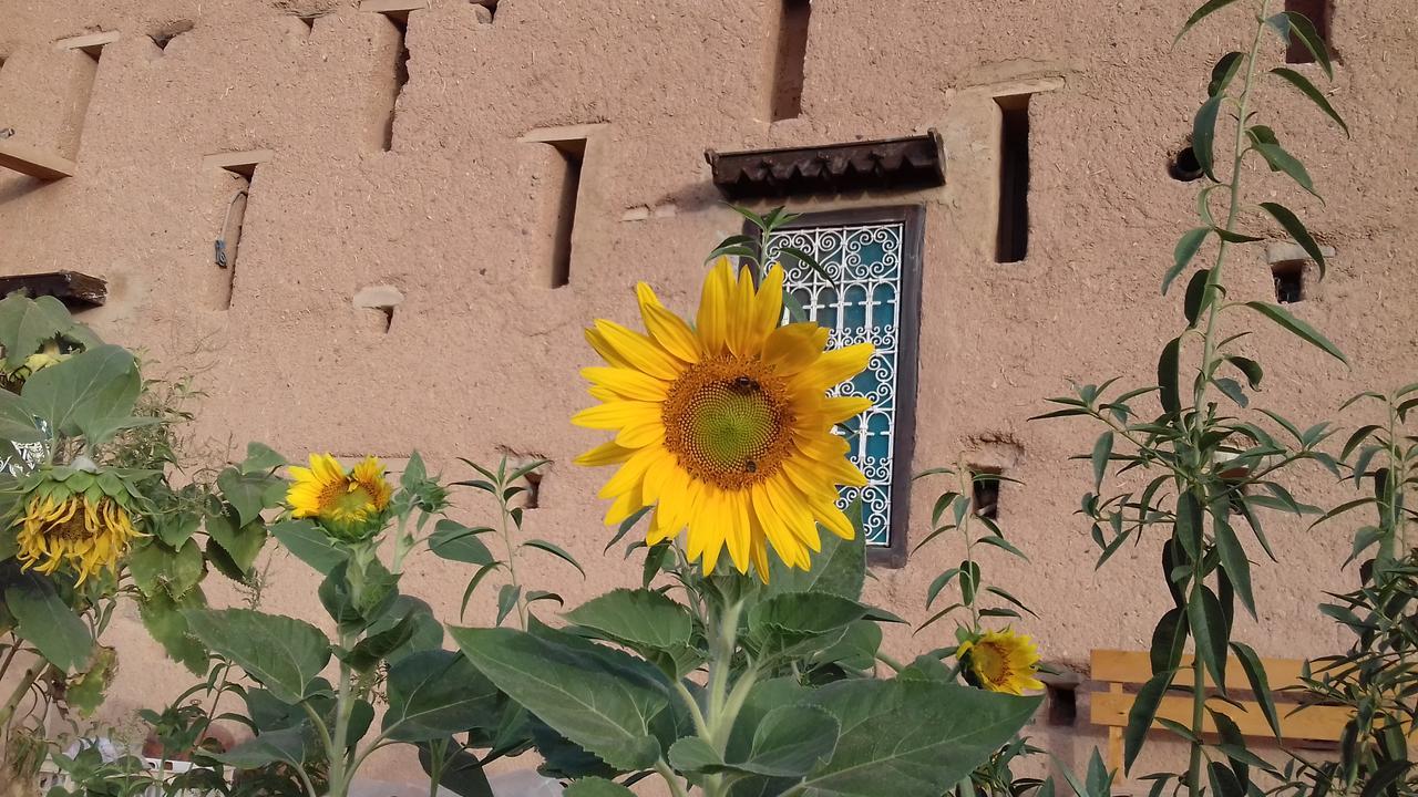 ホテル Kasbah Izoran ミデル エクステリア 写真