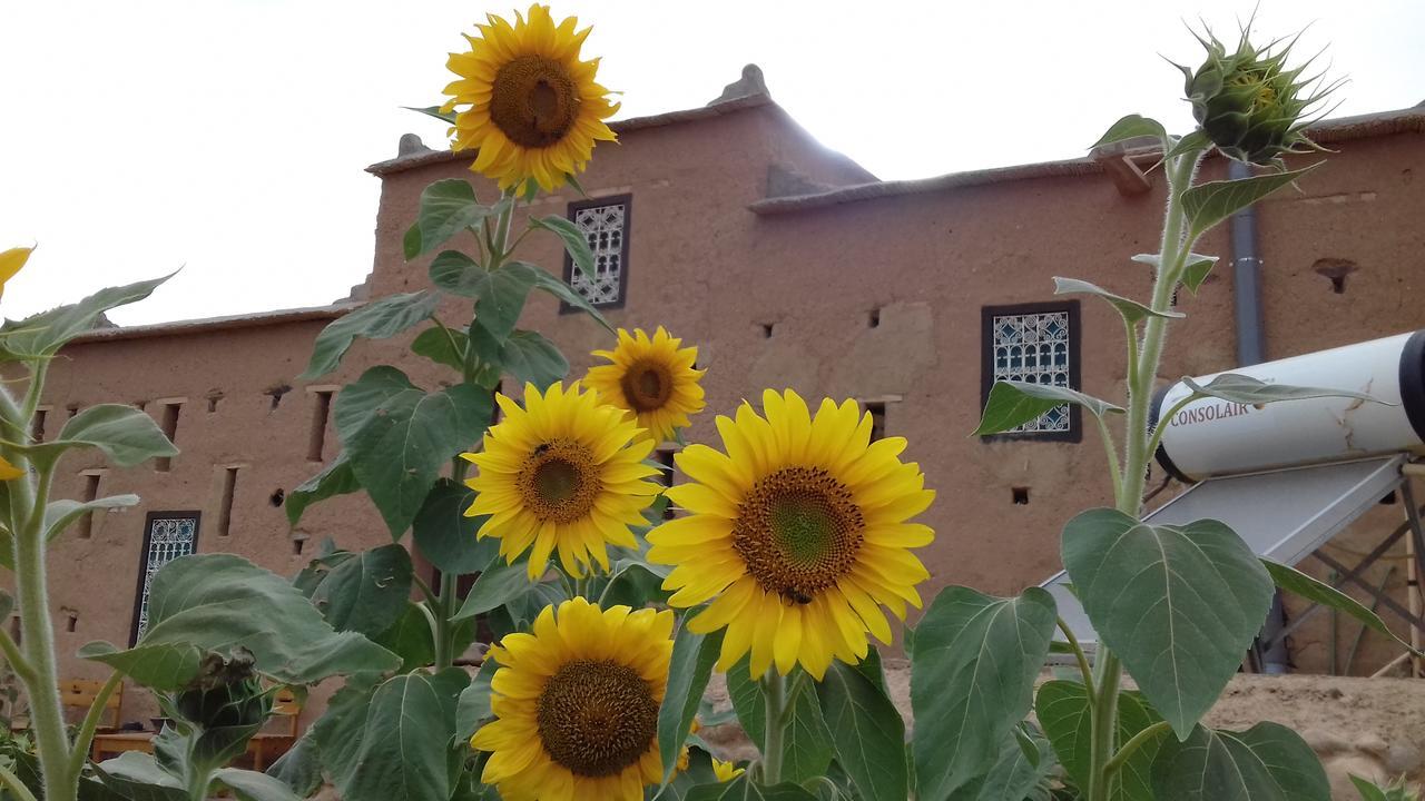 ホテル Kasbah Izoran ミデル エクステリア 写真
