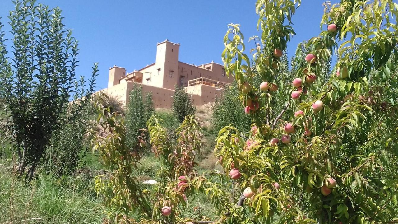 ホテル Kasbah Izoran ミデル エクステリア 写真